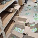 갠지 | ⭐️무신사 스토어 산리오 팝업 이벤트 알바 후기⭐️