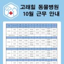 고덕 고래힐동물병원 이미지