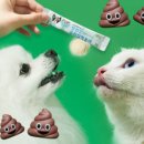 엘림랜드 주식회사 이미지