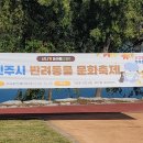 가호동11 이미지