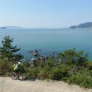 평호단 사적비 이미지