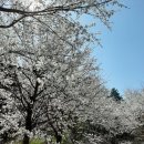 아띠미술