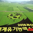 으뜸인터내셔널 이미지