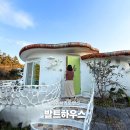 유니크펜션 | 제주 서귀포 펜션 추천 발트하우스 1박 후기
