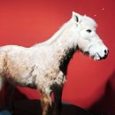 ㈜동원에너지산업 | 2026년 병오년 붉은 말의 해! 국립민속 박물관 특별전 '말들이 많네' 관람 후기와 띠별 운세 정리