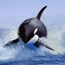 201 training box 이미지