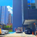 달서동물약국 이미지