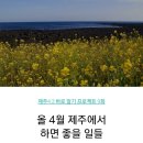 제주4.3 바로 알기 프로젝트 9화: 올 4월 제주에서 하면 좋은 일들 - 제주민예총 이사, 예술감독 최상돈 (제주4.3 70 범국민위 18. 1.16) 이미지