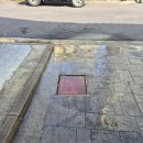 황룡 | 제주하수구 식당 하수구 역류 대참사 하수구 황룡 이용 후기