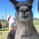 UR(파주시)-[책향기숲길]-하-7 | [시드니] 시드니 경찰서 가보셨어요?