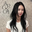 아르결