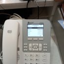 대형동물병원 이미지