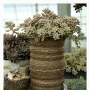 해금강농장 이미지