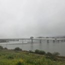 양마담이 만드는 버거 이미지