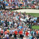 타이거골프클럽 이미지