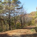 절고개공원 이미지