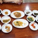 하동편백자연휴양림 이미지