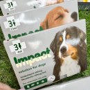 사랑플러스 동물약국 이미지