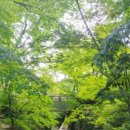 옥류동쉼터 화장실 이미지