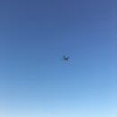 서든리