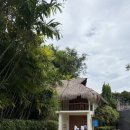 블루비치 | 세부 막탄 블루워터 마리바고 비치 리조트 수영장 , 프라이빗 비치 , 조식 레스토랑 후기