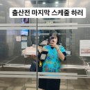 김영희니트 이미지