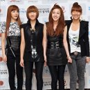 2NE1 카카오 검색결과