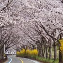 달전시목지 이미지