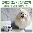 퍼피키티 | 강아지 영양제 심장 두뇌 영양제 퍼피랑키티랑 2종 펫트릿 반려견 거위소리/노화 방지