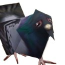 귀소농장 이미지