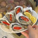 바다포차 | 광주 굴구이 굴찜 수완지구 바다회포차 내돈내산 후기