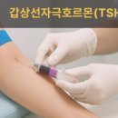 하이진네일 - 성남시 분당구 성남대로 393 | “비오틴이 손톱 건강에 미치는 영향｜네일하이진이 알려주는 손톱 회복 영양 가이드”