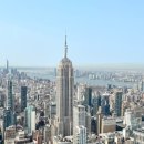 히히냥냥 이미지