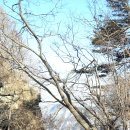 황장산쉼터 이미지