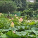 창주 이성길 묘 네이버블로그