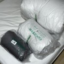 보령약국 이미지