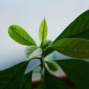 샤인목욕탕 이미지