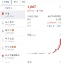 코인으로 2,500만원 날렸다는 손 이미지