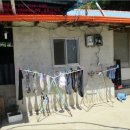 낙동면 비룡리 이미지