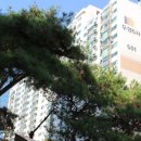 서초우성5차 이미지