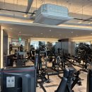 로마짐 합정 | 로마짐 합정에서의 건강한 하루! 💪