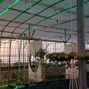 농업회사법인 (주)행복한농장 이미지