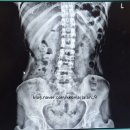 어스 PT | [부산 개금] 가야 요가 필라테스 pt 어스필라테스에서 필라테스 첫 경험 후기