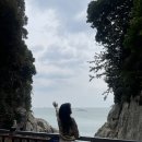 오동도2 | [전남 여수] 여수 3월 1박2일 여행 내돈내산 후기(여수 오동도, 여수찬, 포린스테이 풀빌라)-(1)