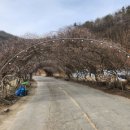 생태터널입구 이미지