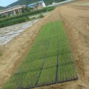 가자농장 이미지