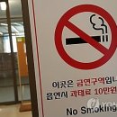 금연 MBN