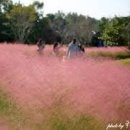 을숙도 생태공원 이미지