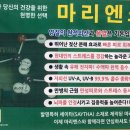 마리엔스 이미지