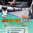 한국체대 석사 더원태권도 | 행사]진해신항 진해용원 신항태권도 용원동태권도 부영아파트 이지더원 한국체대 석사 청림도장(淸林道場)